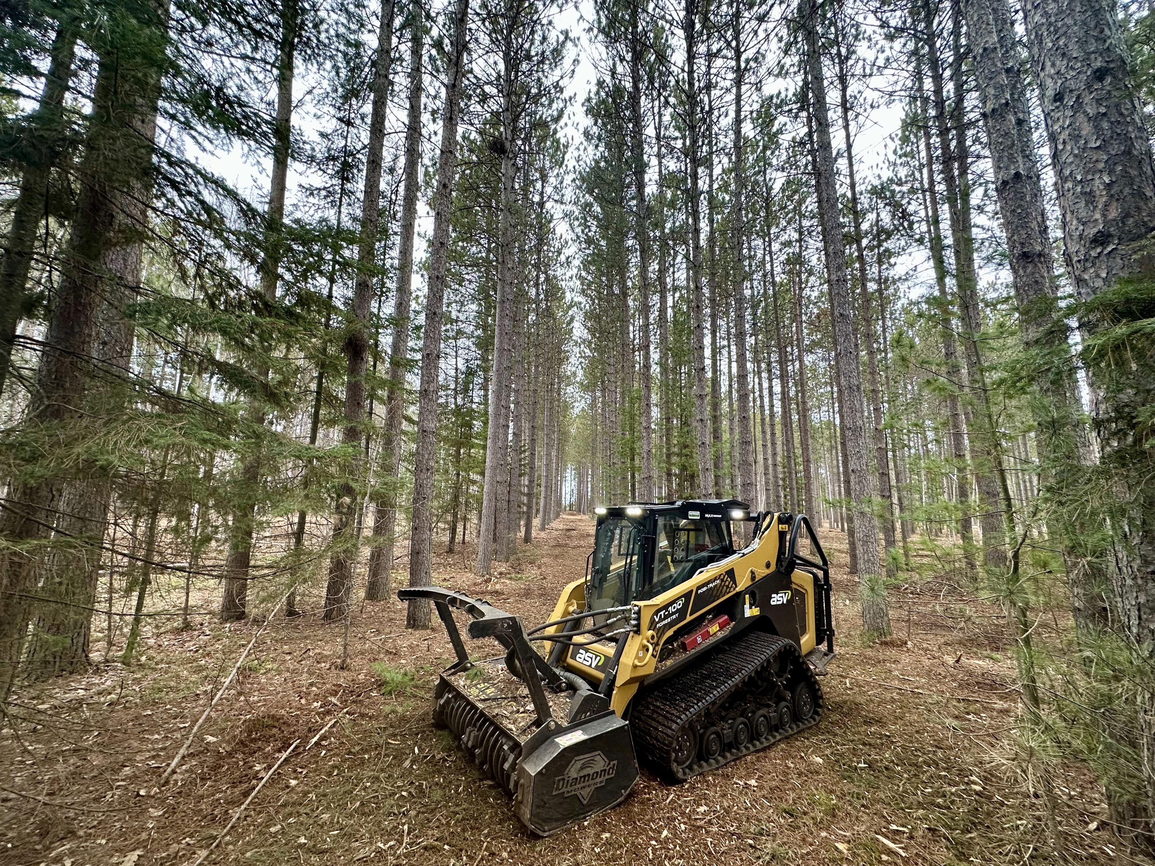 Forestry mulching in wooded terrain